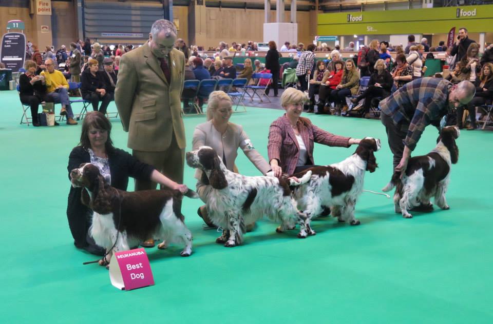 Rafferty crufts 3