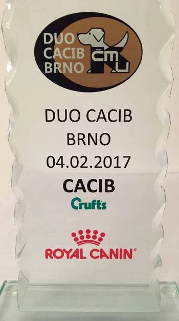 Mar BOB BRNO 2017 2