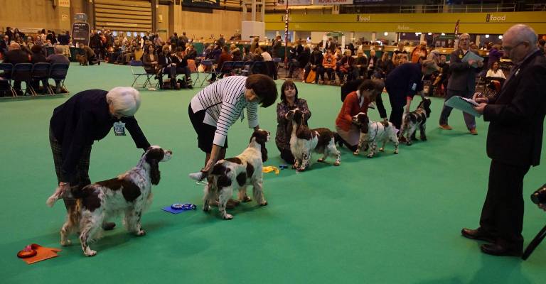 CRUFTS 2017 8