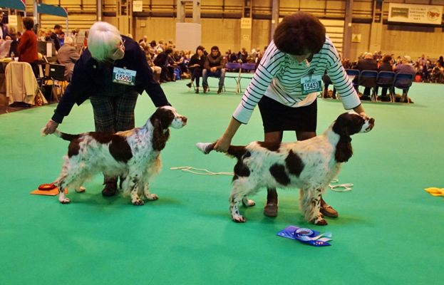 CRUFTS 2017 9